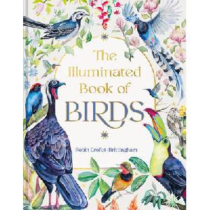 The Illuminated Book of Birds (ISBN: 9781643265049)