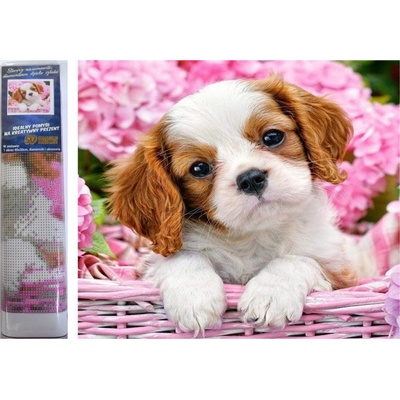 Norimpex Diamantové malování Štěně v růžovém košíku 30 x 40 cm