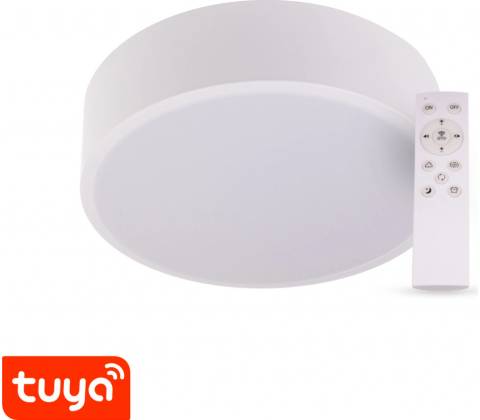 Tuya 105463