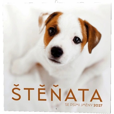 Štěňata nástěnný 2027