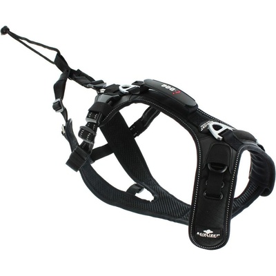 I-DOG postroj RAIDLIGHT
