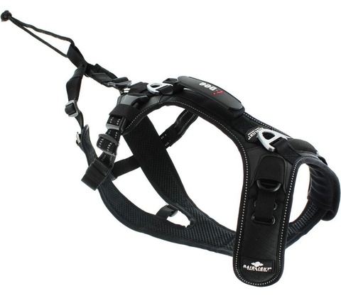 I-DOG postroj RAIDLIGHT
