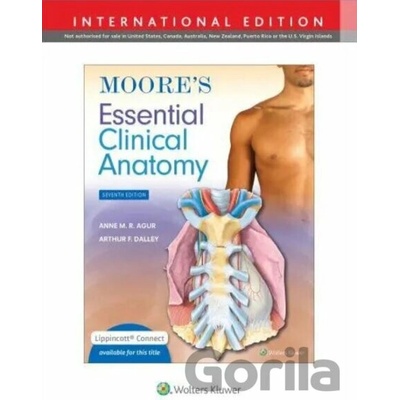Moore's Essential Clinical Anatomy - Anne M.R. Agur, Arthur F. Dalley II