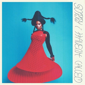 VAGABON - SORRY I HAVEN\'T CALLED CD