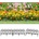 vidaXL Кантове за тревни площи, 17 бр, черни, 10 м, PP (318293)