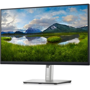 Dell P2423D