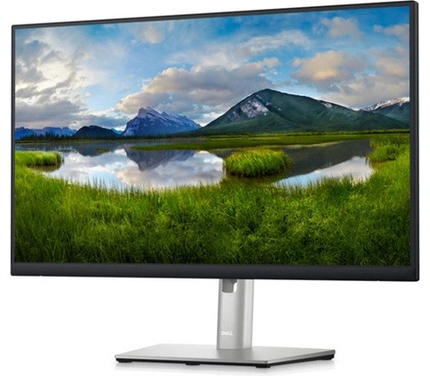 Dell P2423D