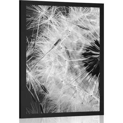 Plakát semínka pampelišky v černobílém provedení - 20x30 silver