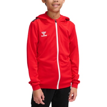 Hummel Суитшърт с качулка Hummel HMLAUTHENTIC PL ZIP HOODIE KIDS 219980-3062 Размер 164