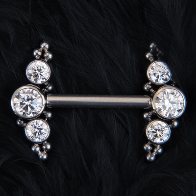 CryptoEshop Titanový piercing do bradavky s čirými zirkony Doge 1,6 mm 16 mm W151-16