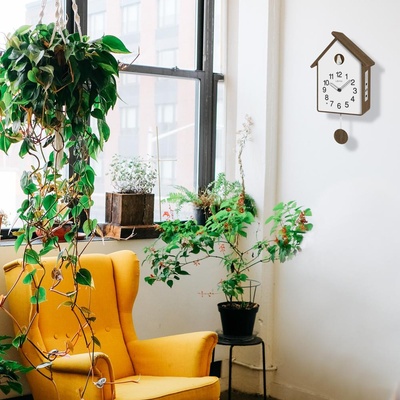 LAVVU CUCKOO LCT4020 – Hledejceny.cz