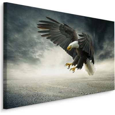 MyBestHome BOX Plátno Orel Během Bouře Varianta: 70x50
