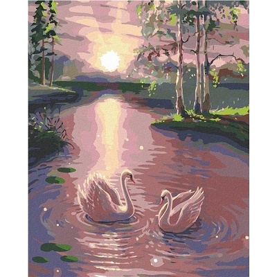 ZUTY Malování podle čísel LABUTĚ NA VODĚ 40 x 50 cm