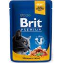 BRIT Premium Cat Adult losos a pstruh 24 x 100 g