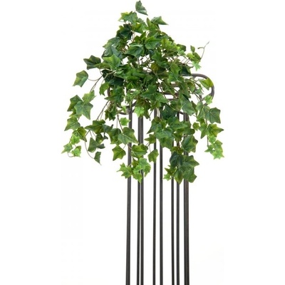 Břečťan Premium, 50 cm