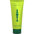 Essens Aloe vera balzám po holení 100 ml