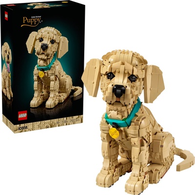LEGO® Icons 11384 Štěně zlatého retrívra
