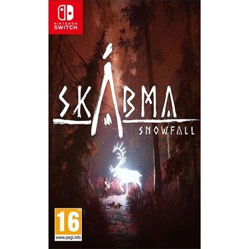 Skábma Snowfall