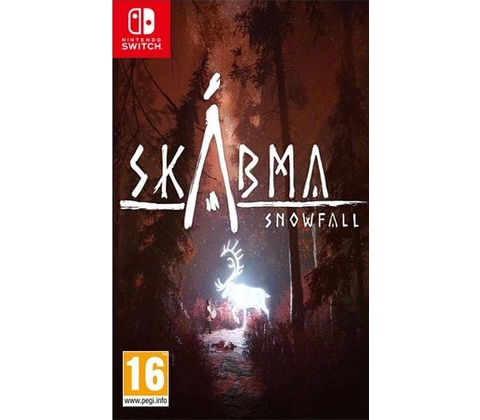 Skábma Snowfall