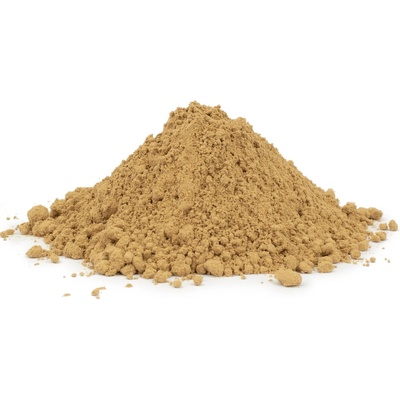 ManuTea Maitake BIO houba Grifola Frondosa prášek 250 g