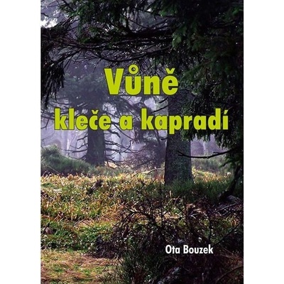 Vůně kleče a kapradí