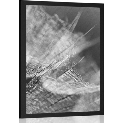 Plakát černobílá makro pampeliška na pozadí - 40x60 no frame