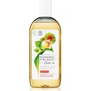 Dove Powered by Plants Ginger sprchový olej 250 ml