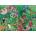 Ravensburger - Puzzle Magical Rain Forest - 1 000 piese