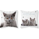 Detexpol Mačka grey 40 x 40 cm