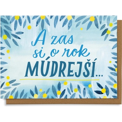 Chaukiss A zas si o rok múdrejší