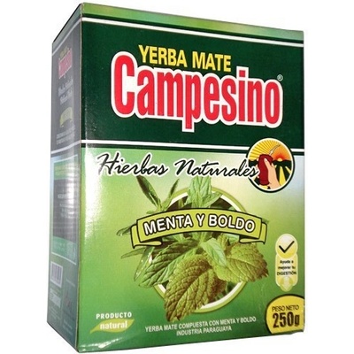 Yerba mate campesino menta-boldo 500 g
