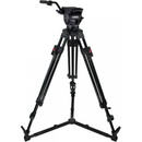 Cartoni Focus 12
