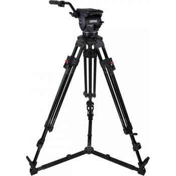 Cartoni Focus 12