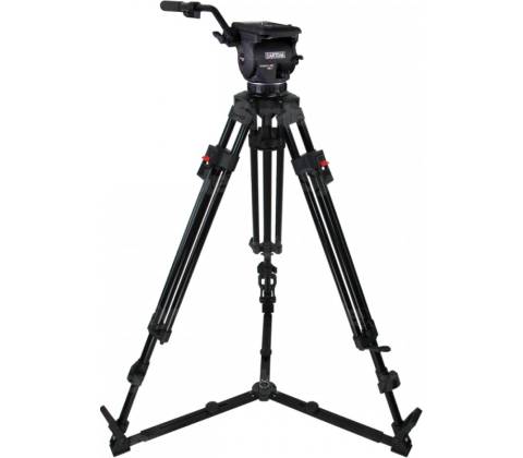 Cartoni Focus 12