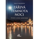 Zářivá temnota noci