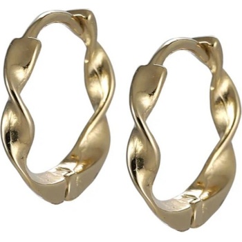 Free Style náušnice z chirurgické oceli kroužky ESS706 Zlata