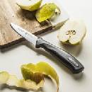 Zwieger Practi Plus nůž na ovoce/zeleninu 9 Cm