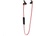 Blow Dynamic Bluetooth