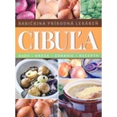 Cibuľa