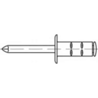 TOOLCRAFT TO-5380566 slepý nit 6.4 mm nerezová ocel 200 ks