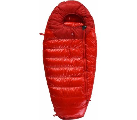 Pajak Quest Bear