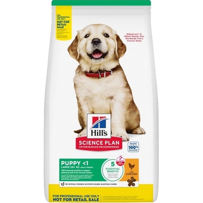 Hill's Science Plan Canine Puppy Large Chicken 6 kg