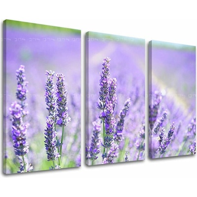 Obraz na stenu KVETY - 60x40