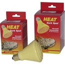 Lucky Reptile Heat Dark Spot 60 W