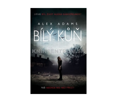 Bílý kůň