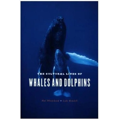 Cultural Lives of Whales and Dolphins