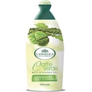 L'Angelica Officinalis Caffe Verde sprchový gel 500 ml
