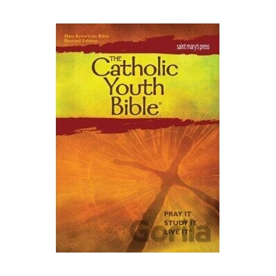The Catholic Youth Bible - Brian Singer-Towns