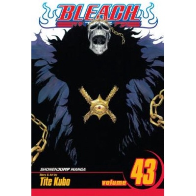 Bleach, Vol. 43