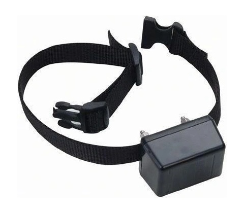 PetSafe Innotek Basic